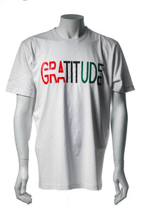 GRATITUDE by Values 4 Life (Limited Edition)